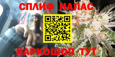 каннабис Волжский