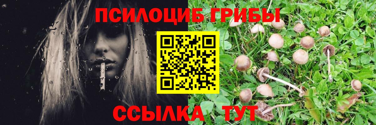 Псилоцибиновые грибы мухоморы  Вход с VPN  Галлюциногенные грибы Psilocybine cubensis  Белебей 