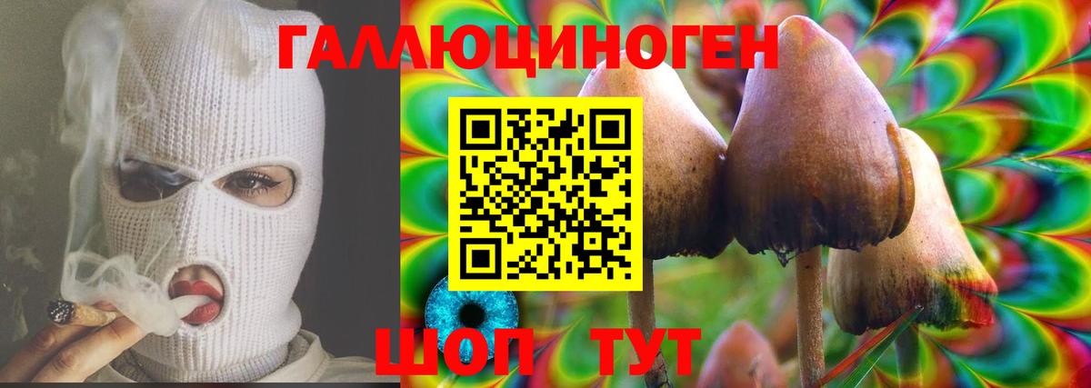 Галлюциногенные грибы мицелий Белебей